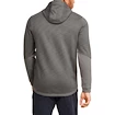 Herren Hoodie Under Armour DOUBLE KNIT FZ HOODIE grün
