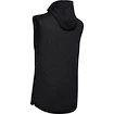 Herren Hoodie Under Armour DOUBLE KNIT SL HOODIE schwarz