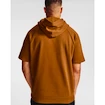 Herren Hoodie Under Armour Rival Flc Multilogo SS HD gelb