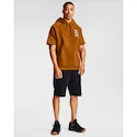 Herren Hoodie Under Armour Rival Flc Multilogo SS HD gelb