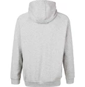 Herren Hoodie Virtus  Oralie Hoody grey