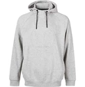 Herren Hoodie Virtus  Oralie Hoody grey