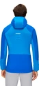 Herren Jacke Mammut  Eiswand Advanced ML Hooded Jacket Tarn/Azurit