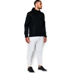 Herren Jacke Under Armour Sporstyle Anorak