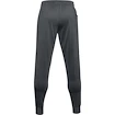 Herren Jogginghose Under Armour Fleece Joggers dunkelgrau
