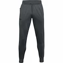 Herren Jogginghose Under Armour Fleece Joggers dunkelgrau