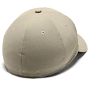 Herren Kappe Under Armour Men's Heathered Blitzing 3.0 braun