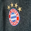 Herren Kapuzenjacke adidas FC Bayern München 3S