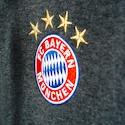 Herren Kapuzenjacke adidas FC Bayern München 3S