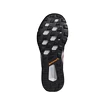 Herren Laufschuhe adidas  Terrex