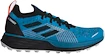 Herren Laufschuhe adidas  Terrex