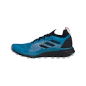Herren Laufschuhe adidas  Terrex