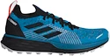 Herren Laufschuhe adidas  Terrex
