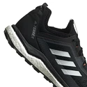 Herren Laufschuhe adidas  Terrex Agravic Flow černé