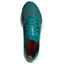 Herren Laufschuhe adidas Terrex Agravic Speed Purtea/Greone/Cblack