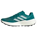 Herren Laufschuhe adidas Terrex Agravic Speed Purtea/Greone/Cblack