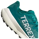 Herren Laufschuhe adidas Terrex Agravic Speed Purtea/Greone/Cblack