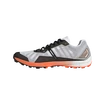 Herren Laufschuhe adidas  Terrex Speed Pro