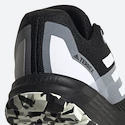 Herren Laufschuhe adidas  Terrex Two Flow