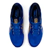 Herren Laufschuhe Asics
