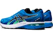 Herren Laufschuhe Asics