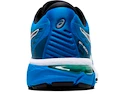 Herren Laufschuhe Asics