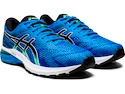 Herren Laufschuhe Asics