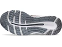 Herren Laufschuhe Asics