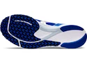 Herren Laufschuhe Asics