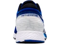 Herren Laufschuhe Asics