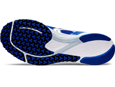 Herren Laufschuhe Asics