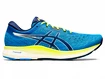 Herren Laufschuhe Asics  Evoride