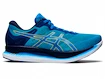 Herren Laufschuhe Asics  Glideride