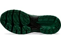 Herren Laufschuhe Asics  GT 2000
