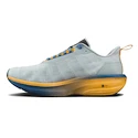 Herren Laufschuhe Craft Endurance 2 Platinum/Sour