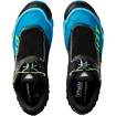 Herren Laufschuhe Dynafit Feline SL Feline SL Asphalt/Methyl Blue