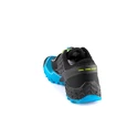 Herren Laufschuhe Dynafit Feline SL Feline SL Asphalt/Methyl Blue