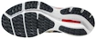 Herren Laufschuhe Mizuno  Wave Rider