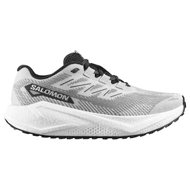 Herren Laufschuhe Salomon Aero Blaze 3 GRVL Lunar Rock/White/Black