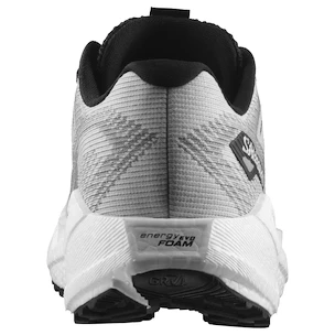 Herren Laufschuhe Salomon Aero Blaze 3 GRVL Lunar Rock/White/Black