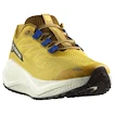 Herren Laufschuhe Salomon Aero Blaze 3 GRVL Spicy Mustard/Vanilla Ice/Nautical Blue