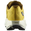 Herren Laufschuhe Salomon Aero Blaze 3 GRVL Spicy Mustard/Vanilla Ice/Nautical Blue