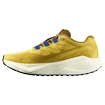 Herren Laufschuhe Salomon Aero Blaze 3 GRVL Spicy Mustard/Vanilla Ice/Nautical Blue