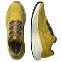 Herren Laufschuhe Salomon Aero Blaze 3 GRVL Spicy Mustard/Vanilla Ice/Nautical Blue