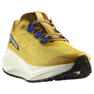 Herren Laufschuhe Salomon Aero Blaze 3 GRVL Spicy Mustard/Vanilla Ice/Nautical Blue