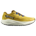 Herren Laufschuhe Salomon Aero Blaze 3 GRVL Spicy Mustard/Vanilla Ice/Nautical Blue   UK 13,5