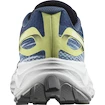 Herren Laufschuhe Salomon  AERO GLIDE