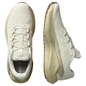 Herren Laufschuhe Salomon DRX Defy Grvl Vanilla Ice/Green Haze/White Pepper