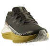 Herren Laufschuhe Salomon DRX Defy Grvl Wren/Spicy Mustard/Vanilla Ice