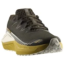 Herren Laufschuhe Salomon DRX Defy Grvl Wren/Spicy Mustard/Vanilla Ice